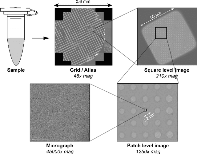 Figure 3 for CryoRL: Reinforcement Learning Enables Efficient Cryo-EM Data Collection