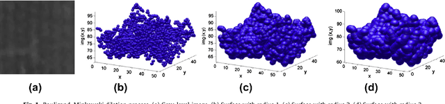 Figure 1 for Brachiaria species identification using imaging techniques based on fractal descriptors