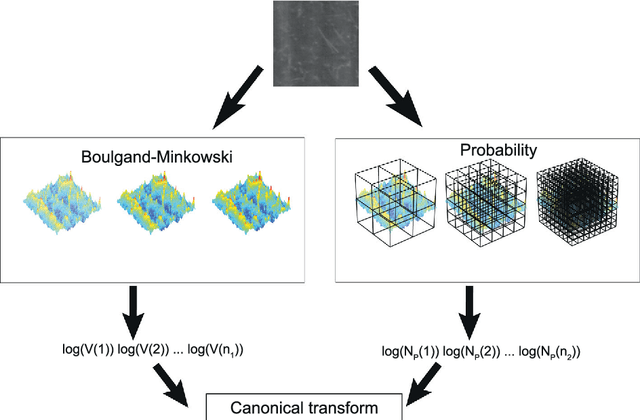 Figure 2 for Brachiaria species identification using imaging techniques based on fractal descriptors