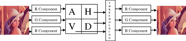 Figure 1 for Multisegmentation through wavelets: Comparing the efficacy of Daubechies vs Coiflets