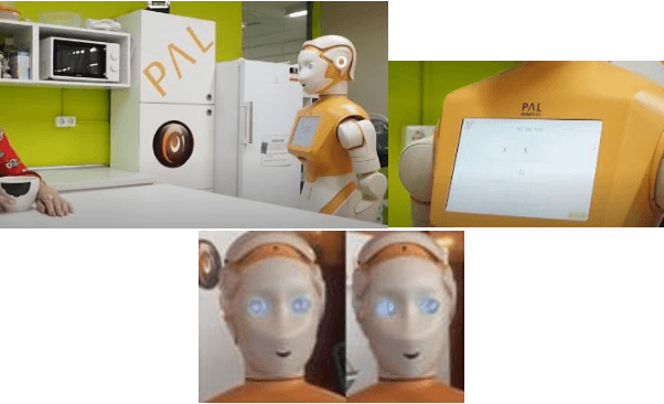 Figure 2 for Robot to support older people to live independently