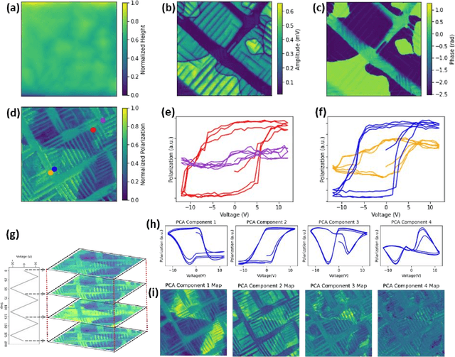 Figure 2 for Bayesian Active Learning for Scanning Probe Microscopy: from Gaussian Processes to Hypothesis Learning