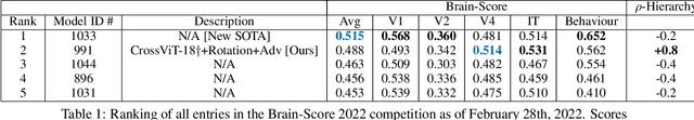 Figure 1 for Joint rotational invariance and adversarial training of a dual-stream Transformer yields state of the art Brain-Score for Area V4