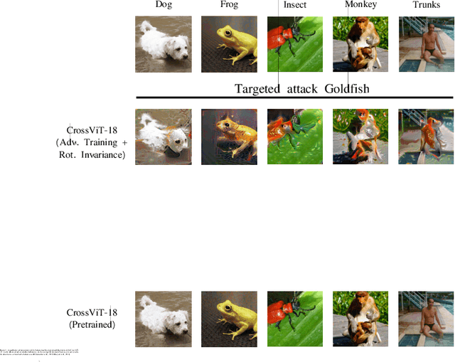 Figure 2 for Joint rotational invariance and adversarial training of a dual-stream Transformer yields state of the art Brain-Score for Area V4
