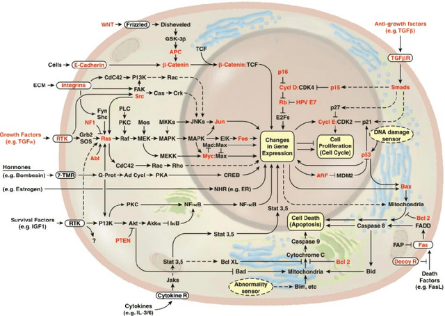 Figure 2 for The Topology of Mutated Driver Pathways