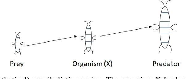 Figure 4 for When Noise meets Chaos: Stochastic Resonance in Neurochaos Learning