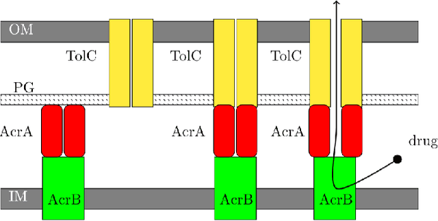 Figure 4 for Learning of Structurally Unambiguous Probabilistic Grammars