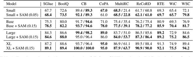 Figure 1 for Sharpness-Aware Minimization Improves Language Model Generalization