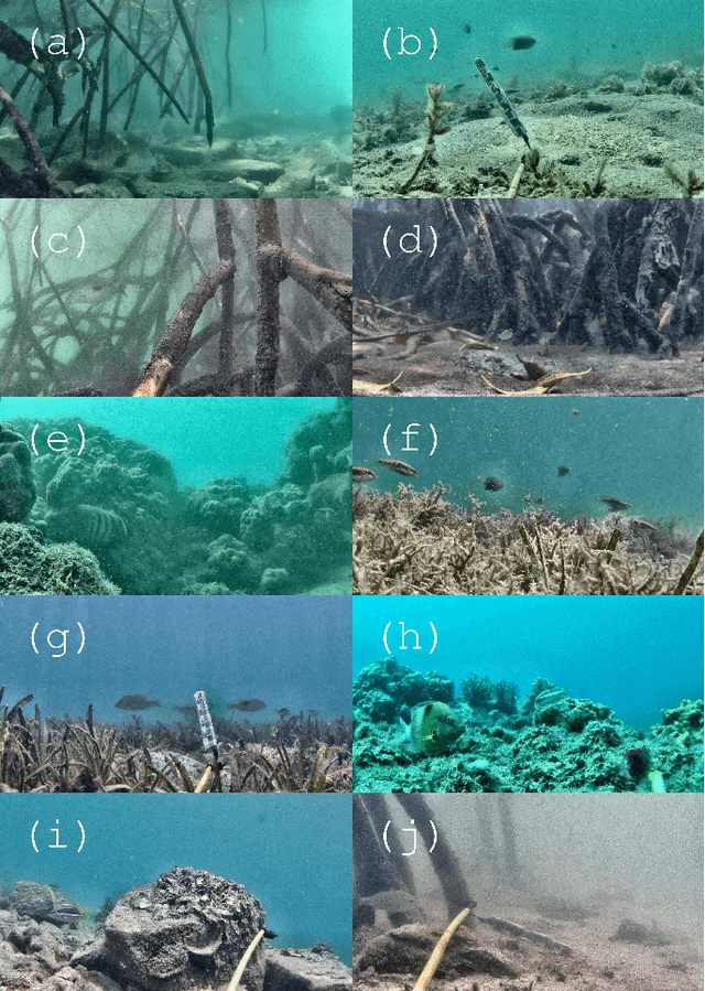 Figure 1 for Underwater Fish Detection with Weak Multi-Domain Supervision