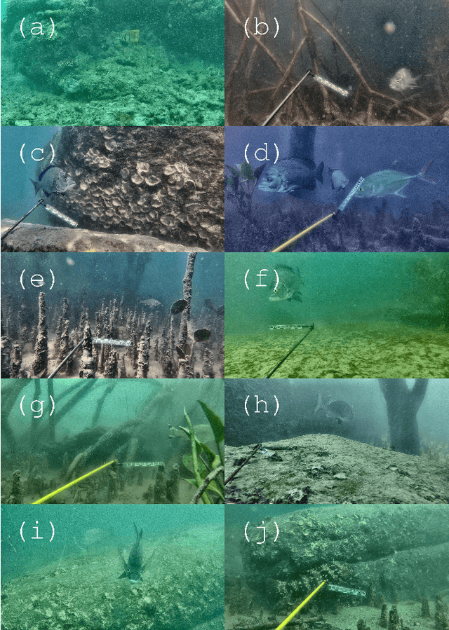 Figure 2 for Underwater Fish Detection with Weak Multi-Domain Supervision