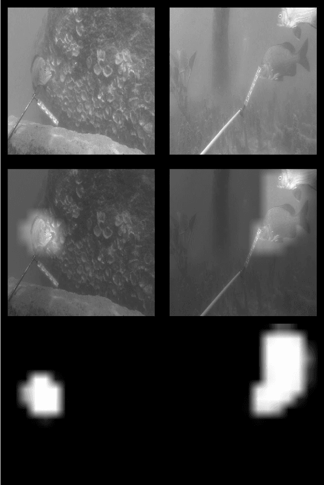 Figure 4 for Underwater Fish Detection with Weak Multi-Domain Supervision