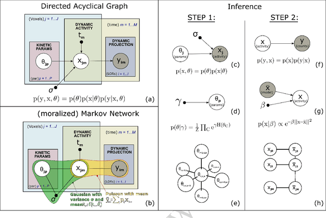 Figure 1 for Probabilistic Graphical Modeling approach to dynamic PET direct parametric map estimation and image reconstruction