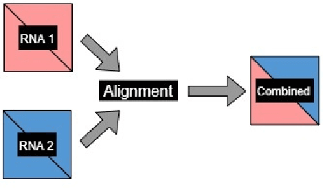 Figure 3 for Classification of Noncoding RNA Elements Using Deep Convolutional Neural Networks