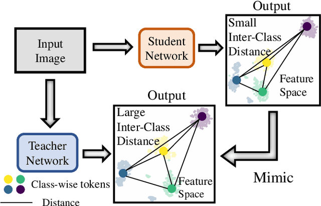 Figure 1 for Distilling Inter-Class Distance for Semantic Segmentation