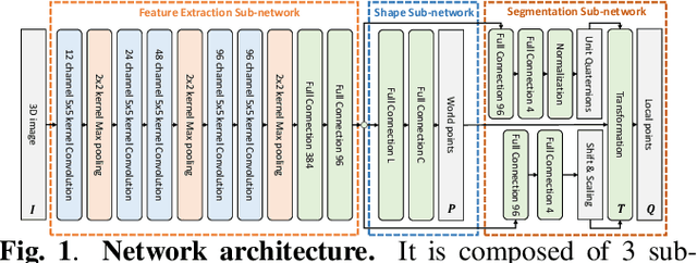 Figure 1 for Learning Population-level Shape Statistics and Anatomy Segmentation From Images: A Joint Deep Learning Model
