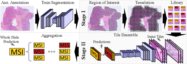 Figure 1 for End-to-end Learning for Image-based Detection of Molecular Alterations in Digital Pathology
