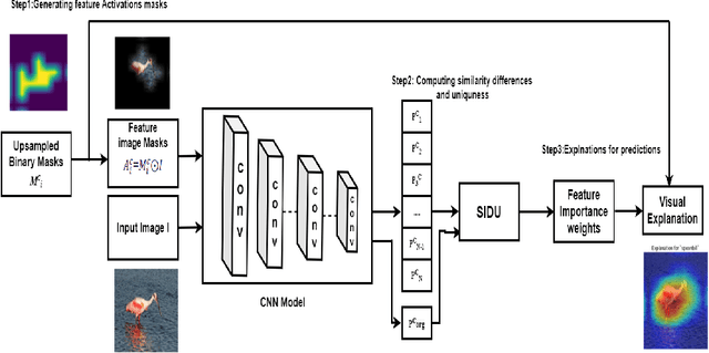 Figure 3 for Introducing and assessing the explainable AI (XAI)method: SIDU