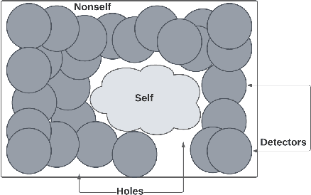 Figure 2 for Designing an Artificial Immune System inspired Intrusion Detection System