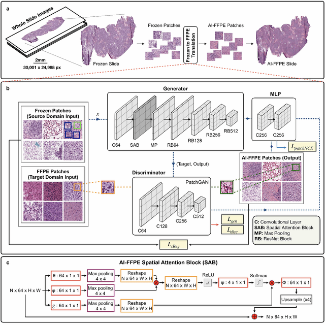 Figure 2 for Deep Learning-based Frozen Section to FFPE Translation