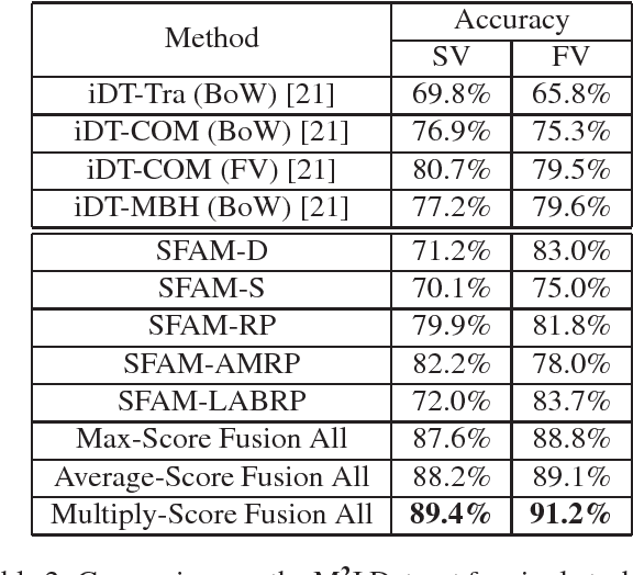 Figure 4 for Scene Flow to Action Map: A New Representation for RGB-D based Action Recognition with Convolutional Neural Networks