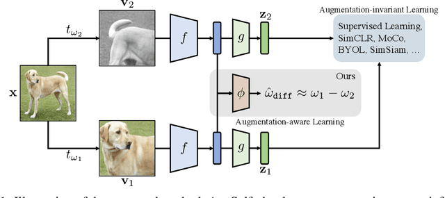 Figure 1 for Improving Transferability of Representations via Augmentation-Aware Self-Supervision