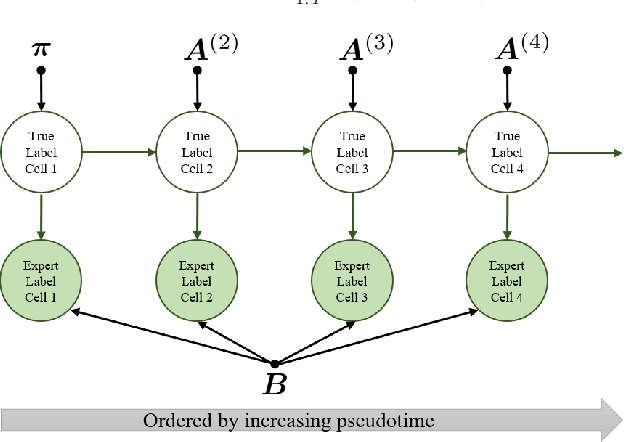 Figure 3 for TIMELY: Improving Labeling Consistency in Medical Imaging for Cell Type Classification