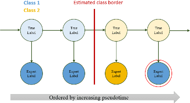 Figure 4 for TIMELY: Improving Labeling Consistency in Medical Imaging for Cell Type Classification
