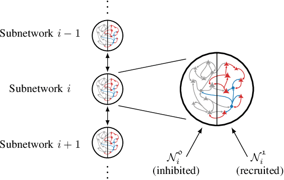 Figure 3 for Hierarchical Selective Recruitment in Linear-Threshold Brain Networks - Part I: Intra-Layer Dynamics and Selective Inhibition