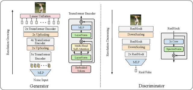 Figure 1 for Combining Transformer Generators with Convolutional Discriminators