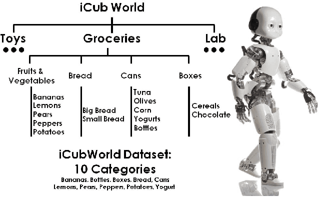Figure 1 for iCub World: Friendly Robots Help Building Good Vision Data-Sets