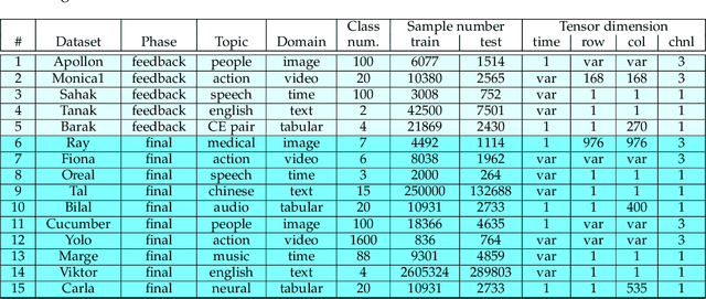 Figure 2 for Winning solutions and post-challenge analyses of the ChaLearn AutoDL challenge 2019