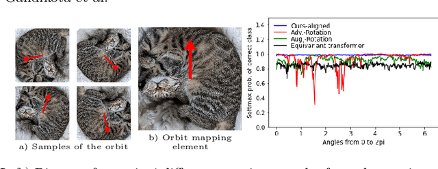 Figure 1 for A Simple Strategy to Provable Invariance via Orbit Mapping