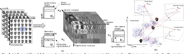 Figure 2 for CausalX: Causal Explanations and Block Multilinear Factor Analysis