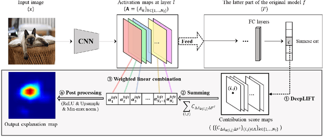 Figure 3 for LIFT-CAM: Towards Better Explanations for Class Activation Mapping