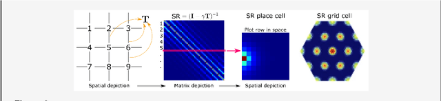 Figure 2 for How to build a cognitive map: insights from models of the hippocampal formation