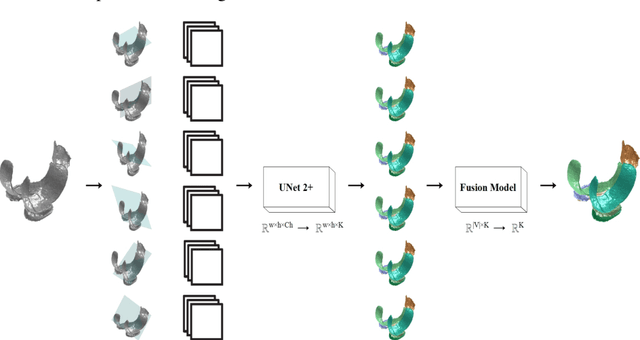 Figure 1 for UNet Architectures in Multiplanar Volumetric Segmentation -- Validated on Three Knee MRI Cohorts
