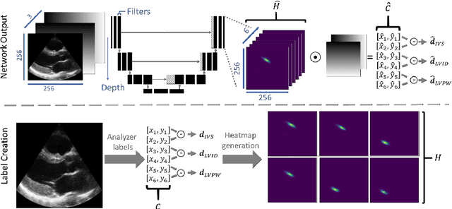 Figure 1 for Automated Left Ventricle Dimension Measurement in 2D Cardiac Ultrasound via an Anatomically Meaningful CNN Approach