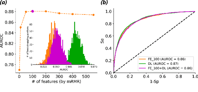 Figure 4 for On Merging Feature Engineering and Deep Learning for Diagnosis, Risk-Prediction and Age Estimation Based on the 12-Lead ECG