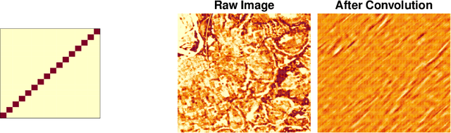 Figure 2 for Estimating Causal Effects Under Image Confounding Bias with an Application to Poverty in Africa