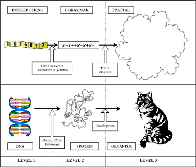 Figure 1 for Grammatical Evolution with Restarts for Fast Fractal Generation
