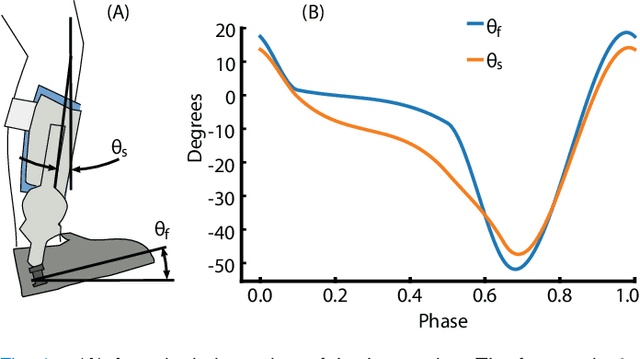 Figure 1 for Real-Time Gait Phase and Task Estimation for Controlling a Powered Ankle Exoskeleton on Extremely Uneven Terrain