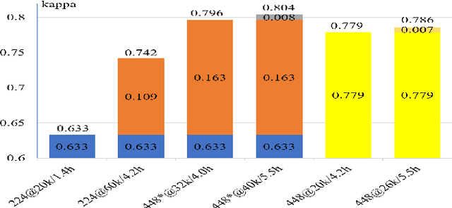 Figure 4 for Multi-Cell Multi-Task Convolutional Neural Networks for Diabetic Retinopathy Grading