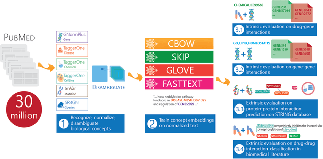 Figure 1 for BioConceptVec: creating and evaluating literature-based biomedical concept embeddings on a large scale