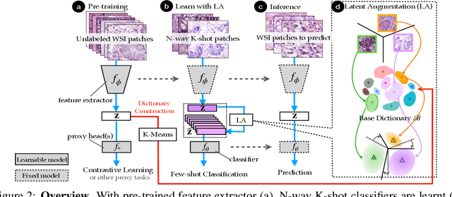 Figure 2 for Towards better understanding and better generalization of few-shot classification in histology images with contrastive learning