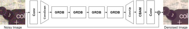 Figure 1 for GRDN:Grouped Residual Dense Network for Real Image Denoising and GAN-based Real-world Noise Modeling