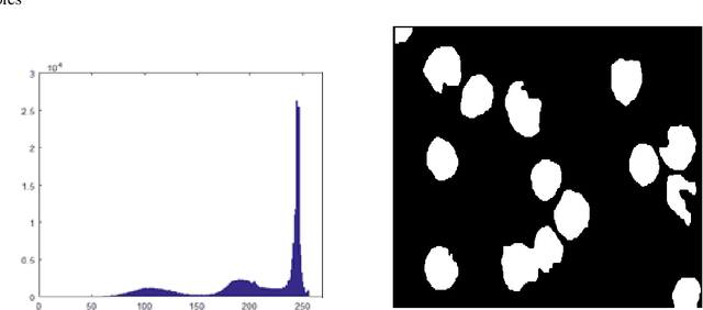 Figure 3 for Automated Detection of Acute Leukemia using K-mean Clustering Algorithm