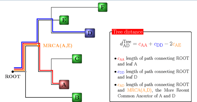 Figure 1 for Phylogenetic Convolutional Neural Networks in Metagenomics