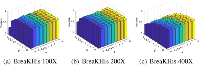Figure 3 for Learning Binary Semantic Embedding for Histology Image Classification and Retrieval