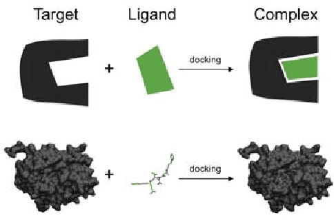 Figure 1 for Automatic hyperparameter selection in Autodock
