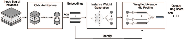 Figure 1 for Deep Instance-Level Hard Negative Mining Model for Histopathology Images
